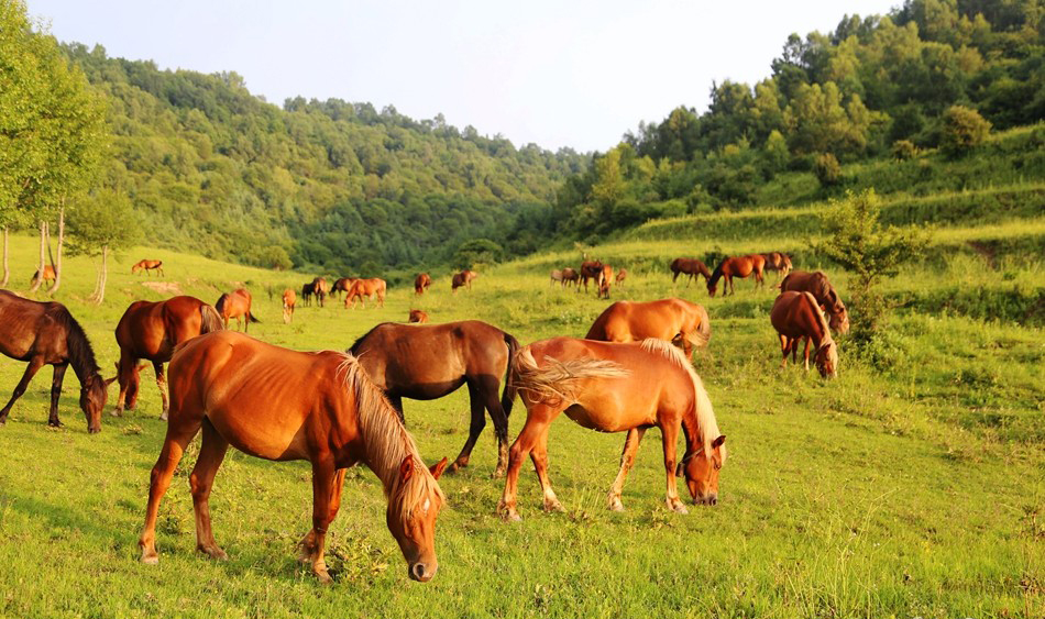 1532397092123475.jpg 18072310476ab84f85ad14dcab 副本.jpg