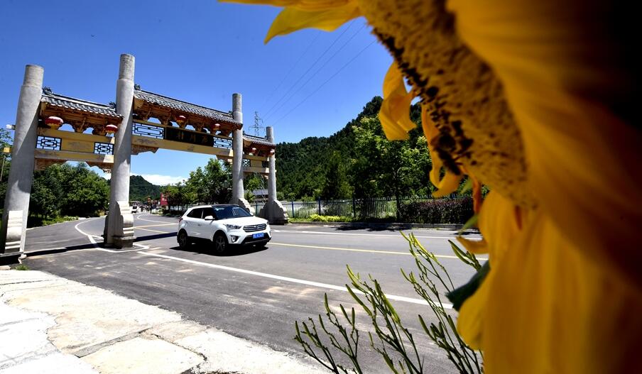 1563870341104696.jpg 4.jpg