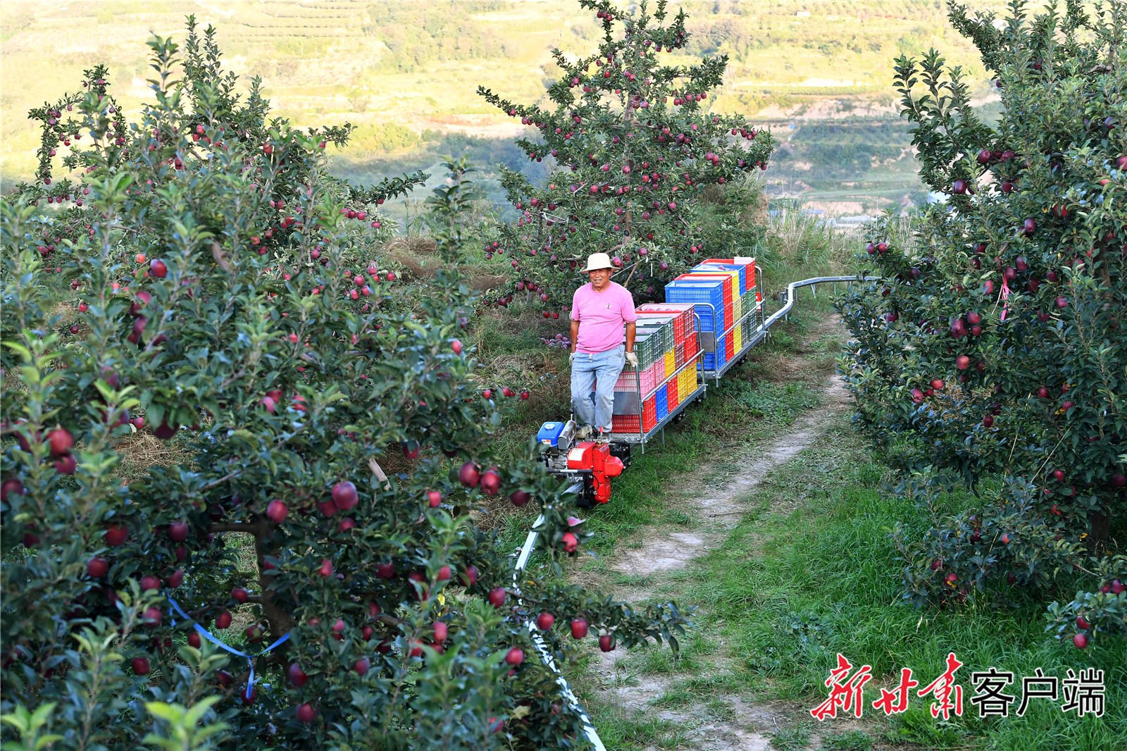 FZ007235862292_A4772896 FZ007235862292_A4772896