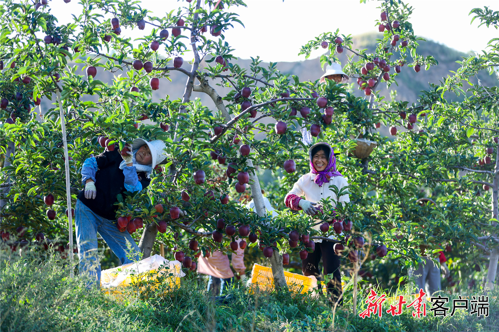 FZ007235862292_A4772900 FZ007235862292_A4772900