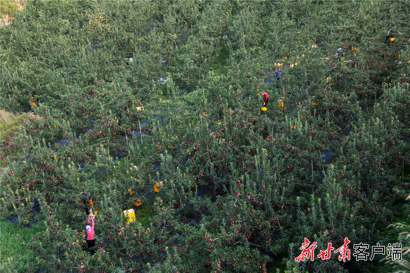 FZ007235862292_A4772902 FZ007235862292_A4772902