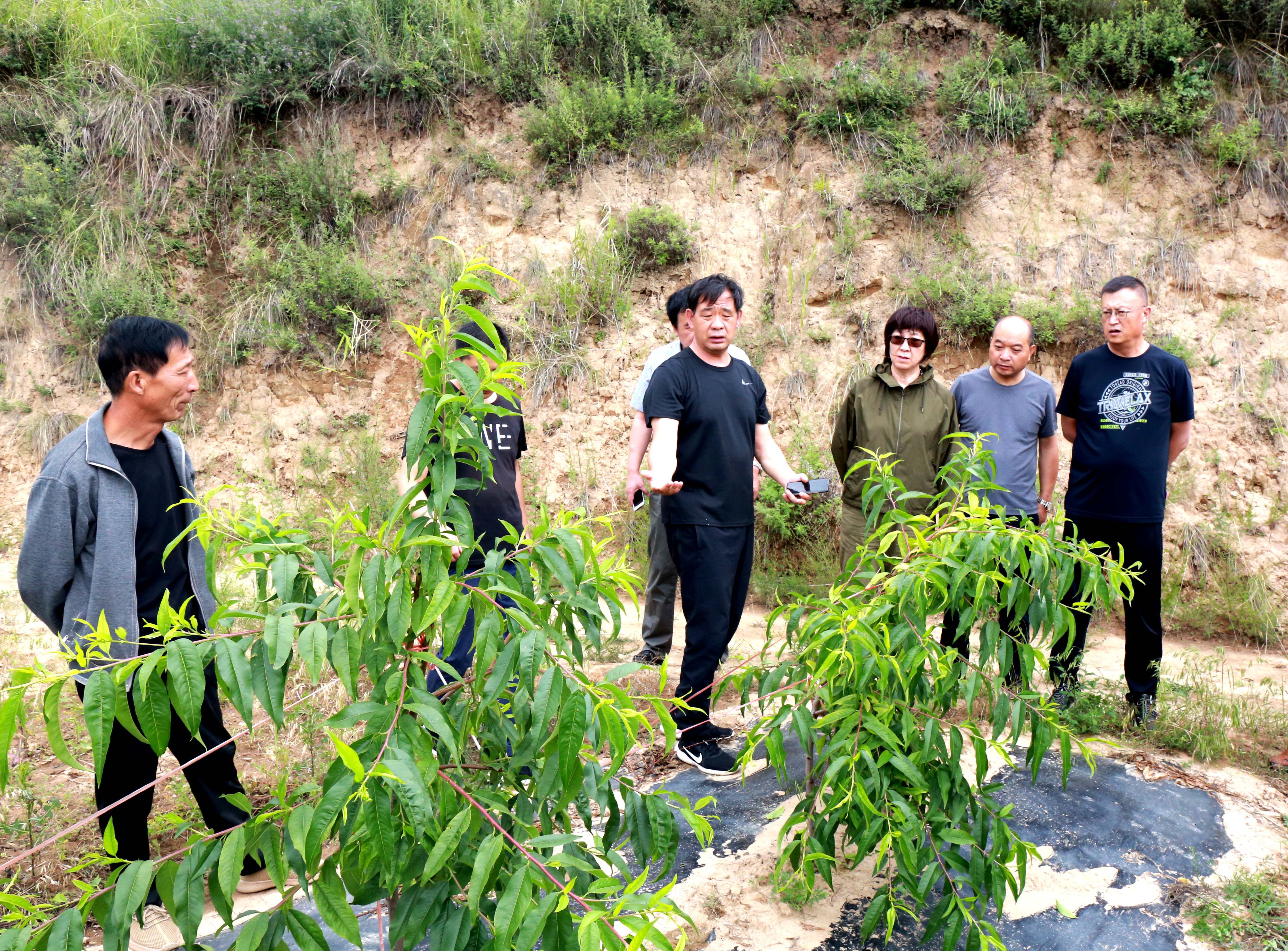 IMG_3996.JPG IMG_3996.JPG