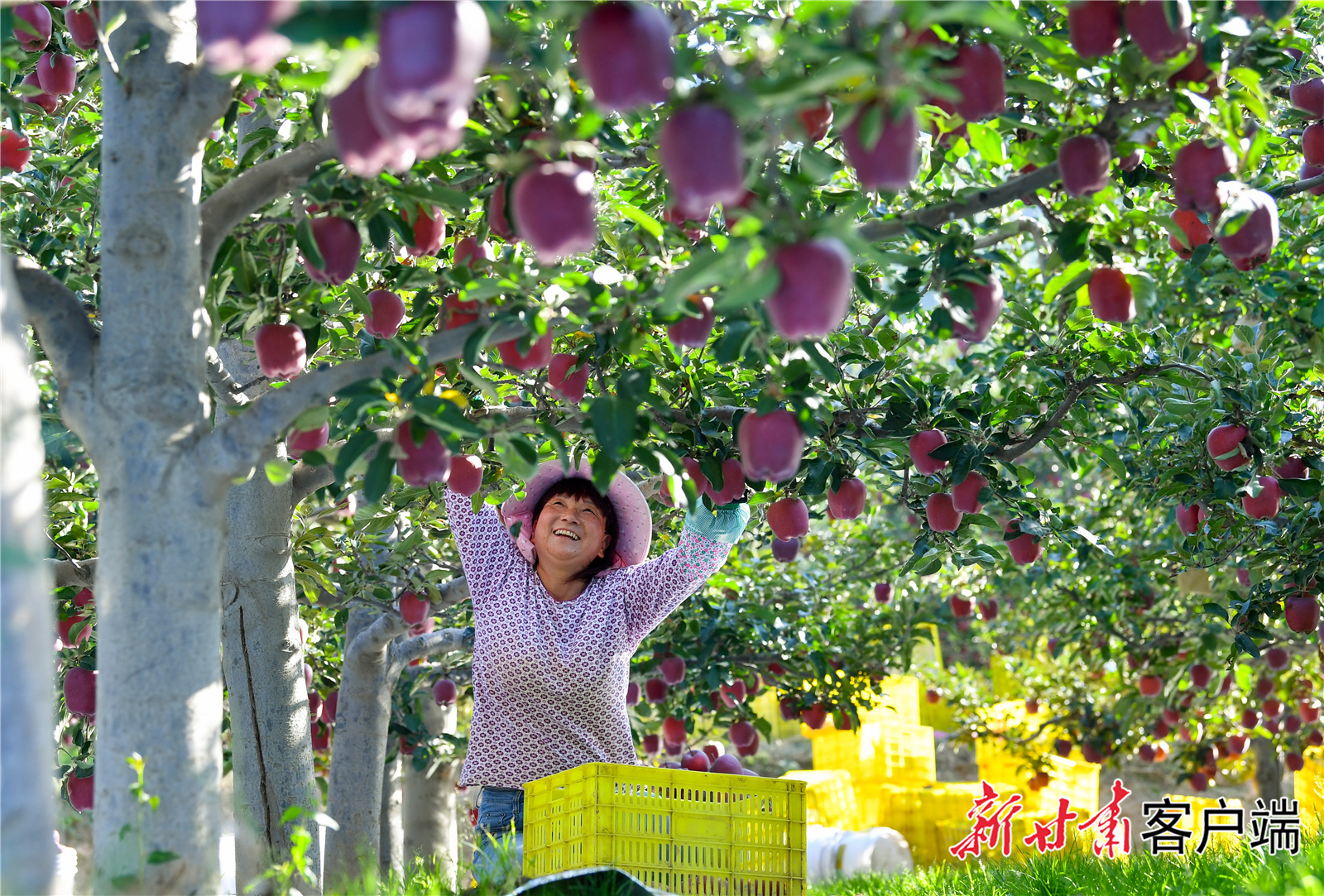 FZ007235862292_A4772895 FZ007235862292_A4772895