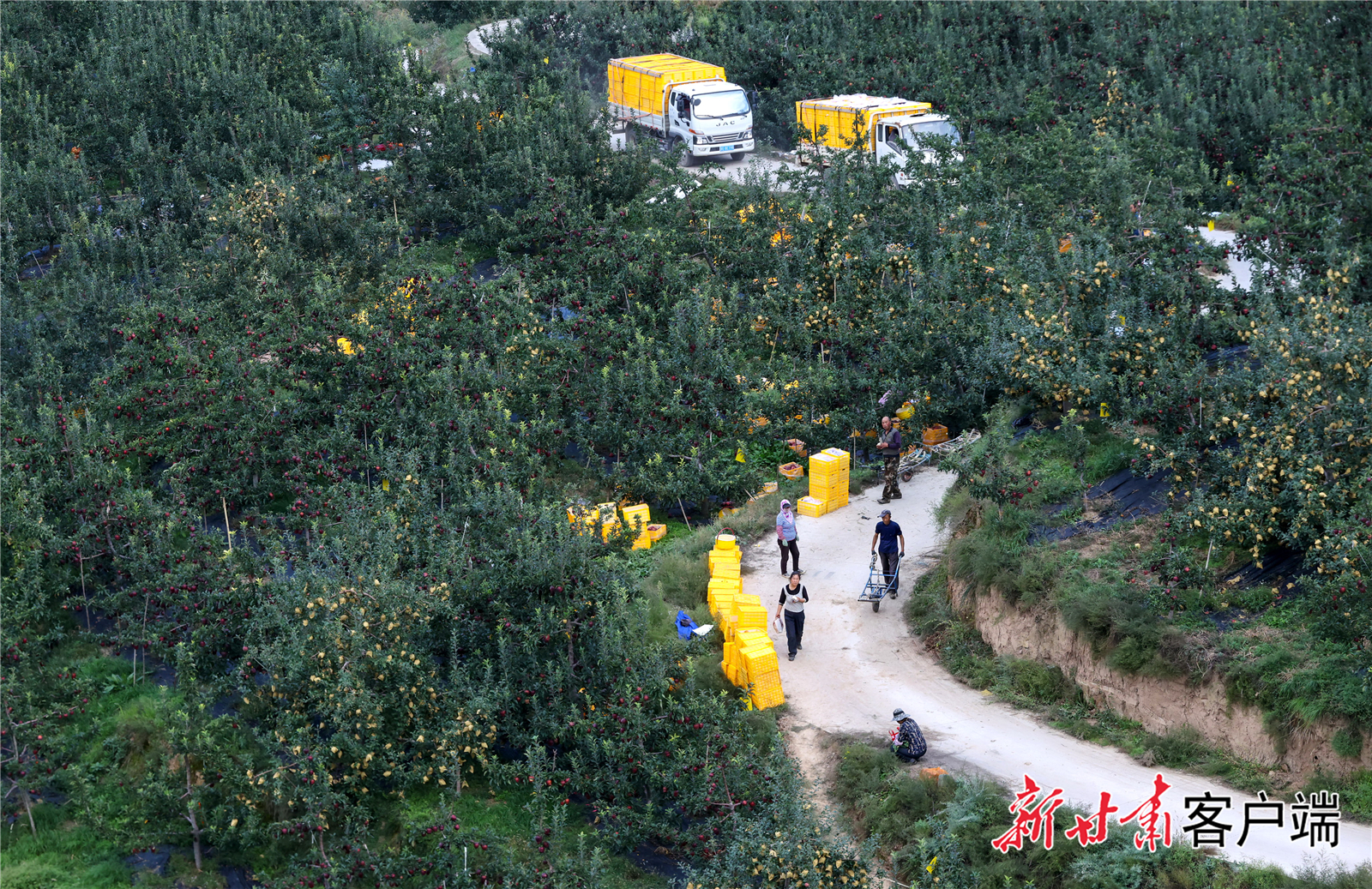 FZ007235862292_A4772905 FZ007235862292_A4772905