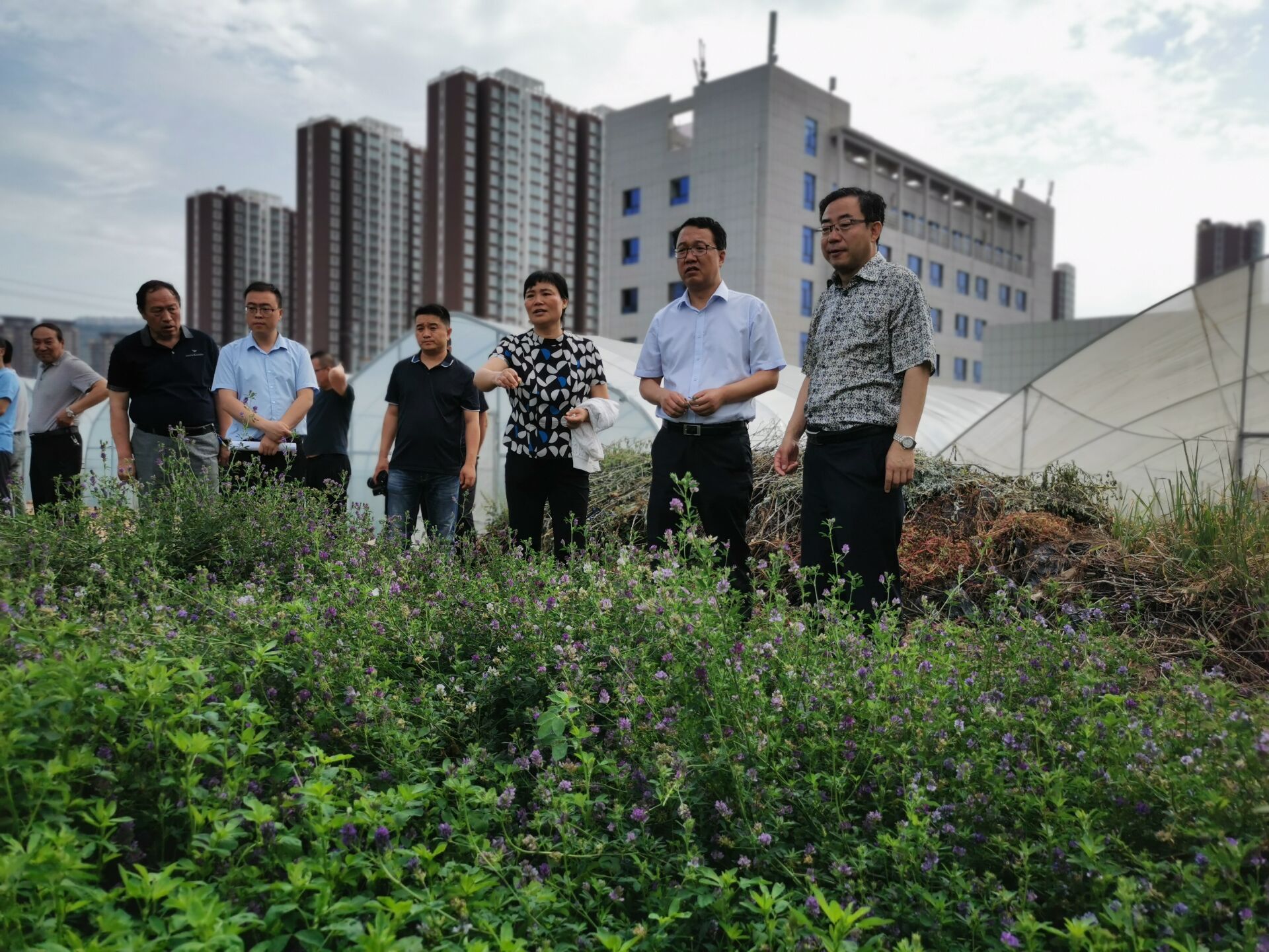 QQ图片20200720151159.jpg QQ图片20200720151159.jpg