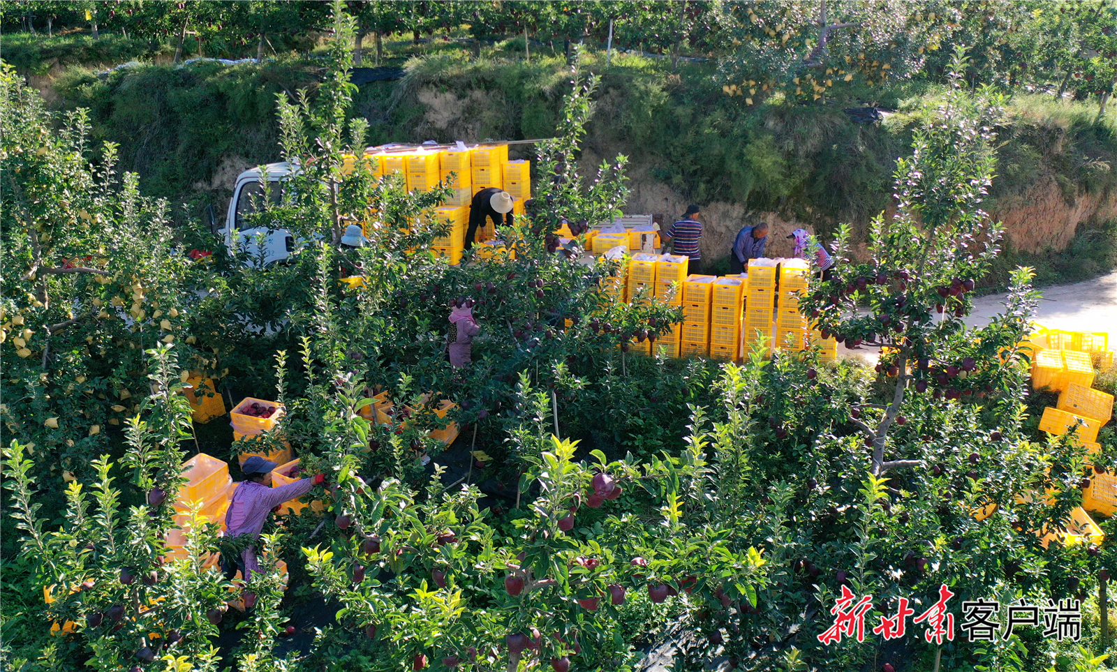 FZ007235862292_A4772899 FZ007235862292_A4772899