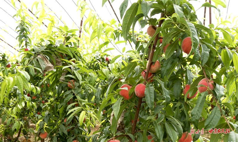 1685611418754584.png GetAttachment.png