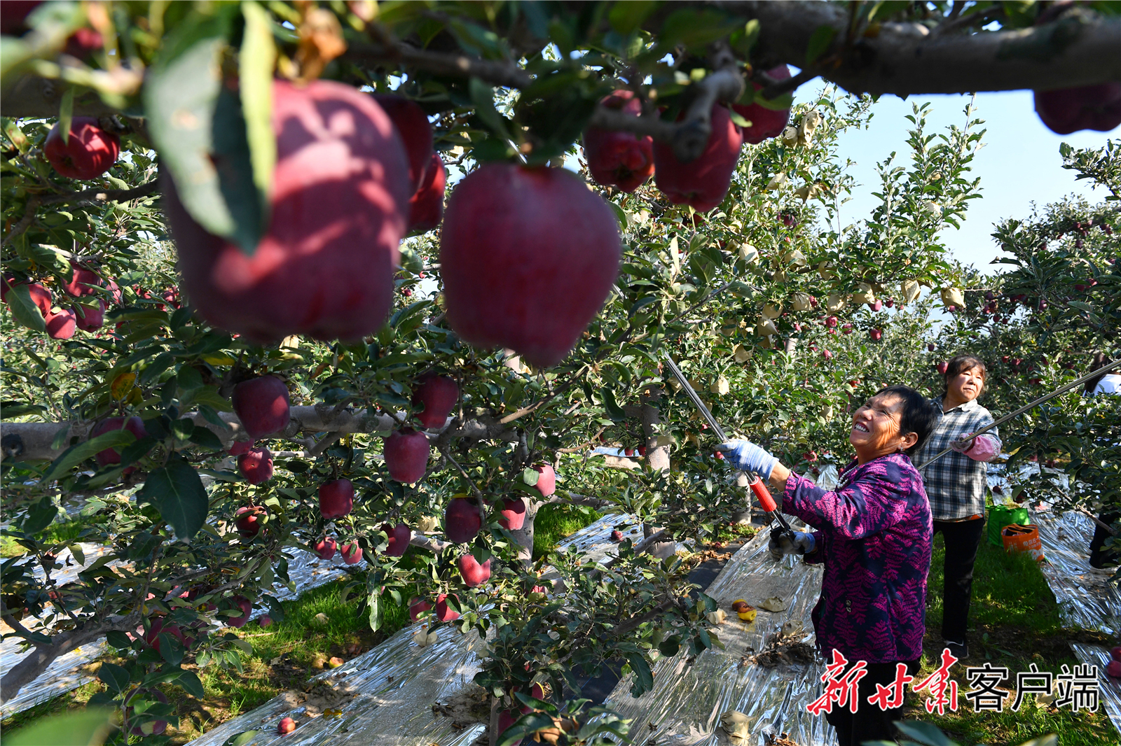 FZ007235862292_A4772893 FZ007235862292_A4772893