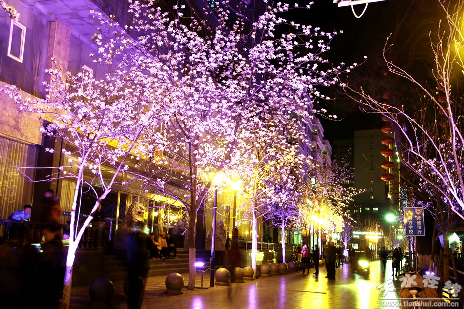 1520901563833826.jpg 5.jpg