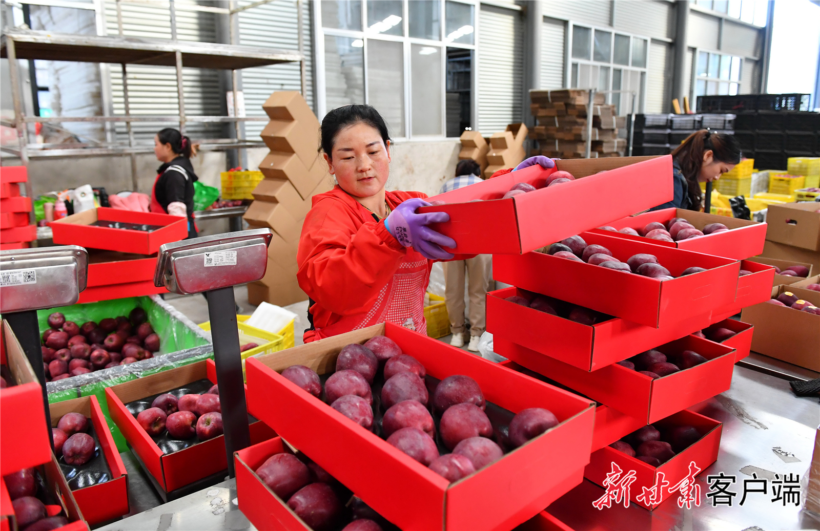 FZ007235862292_A4772910 FZ007235862292_A4772910