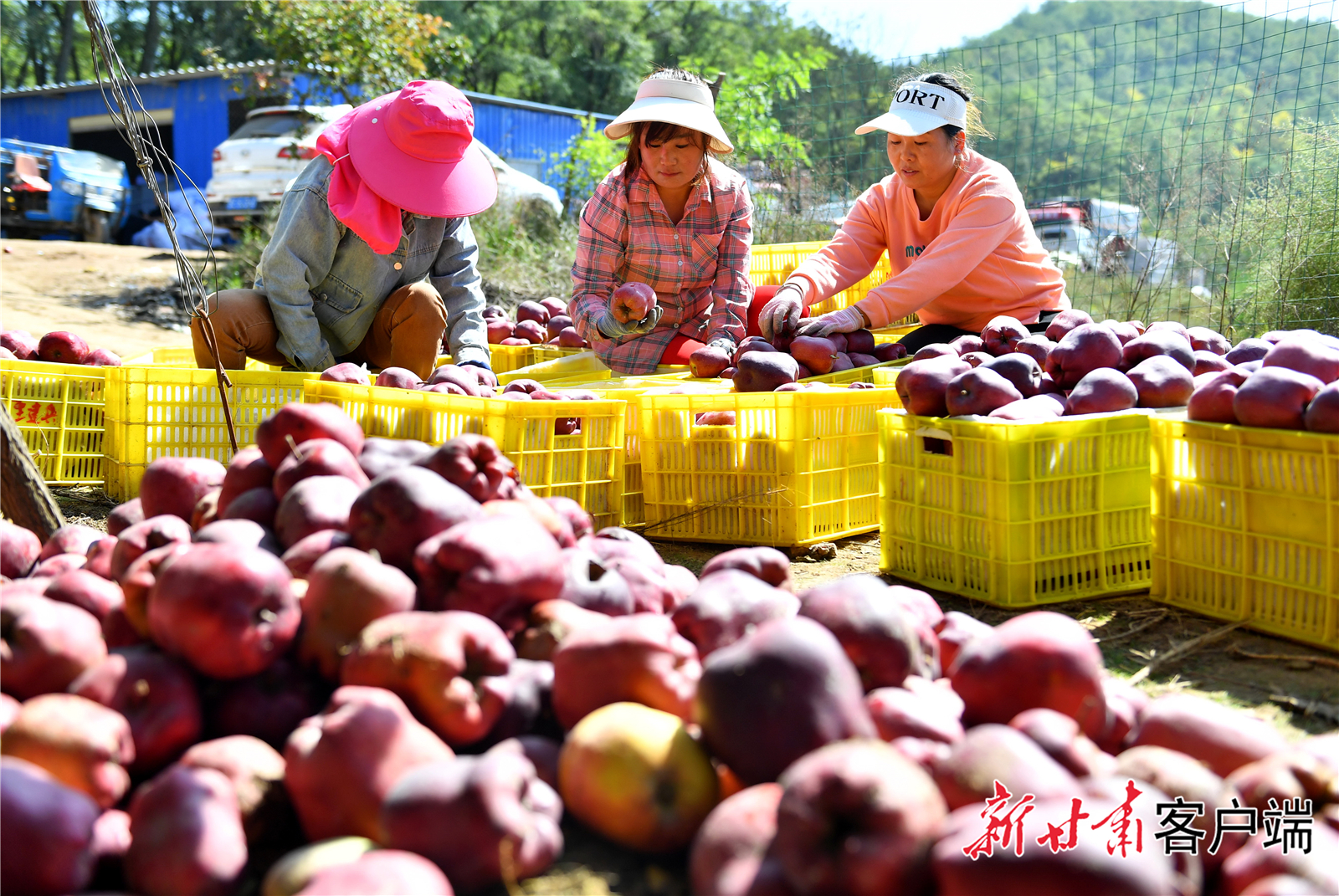 FZ007235862292_A4772897 FZ007235862292_A4772897