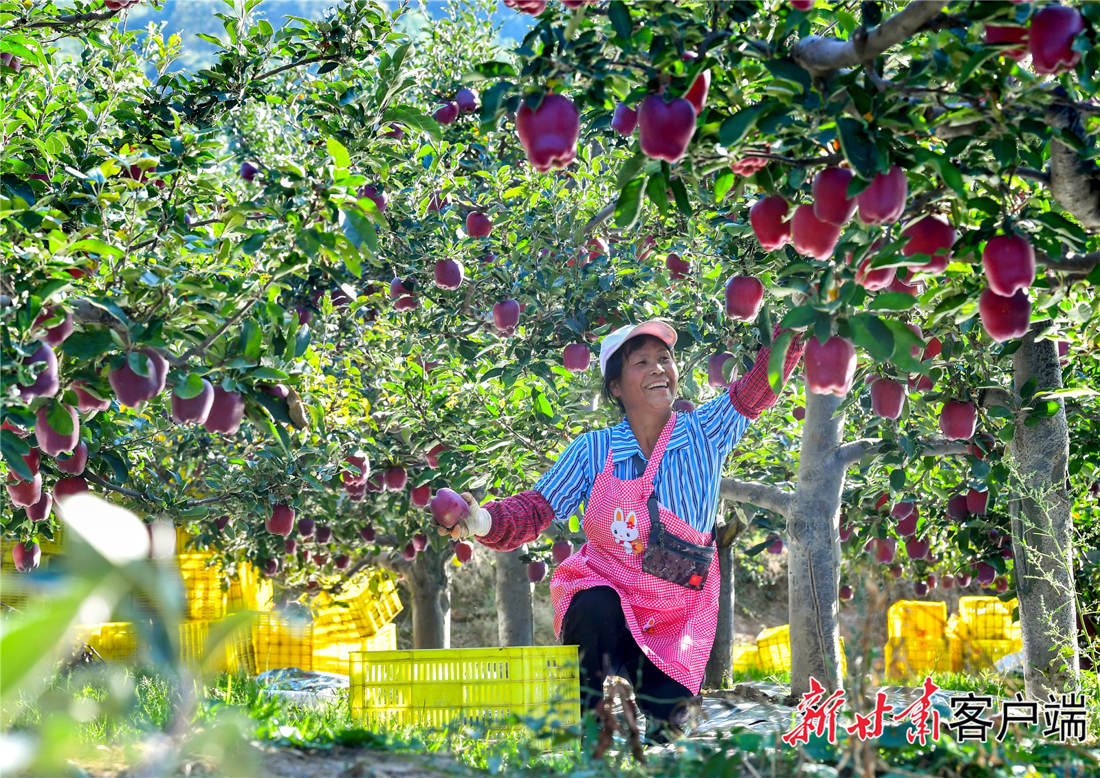 FZ007235862292_A4772892 FZ007235862292_A4772892