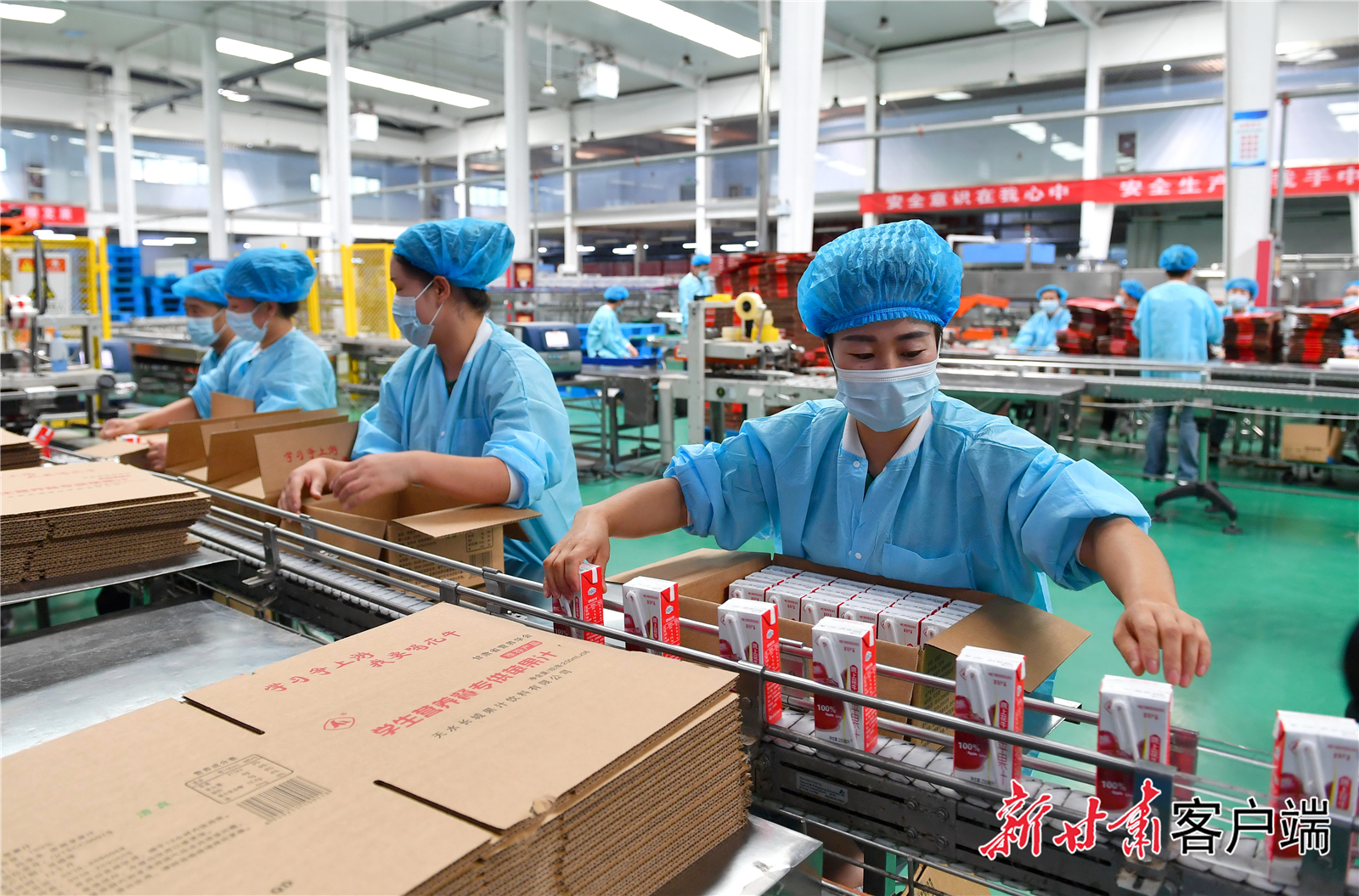 FZ007235862292_A4772907 FZ007235862292_A4772907