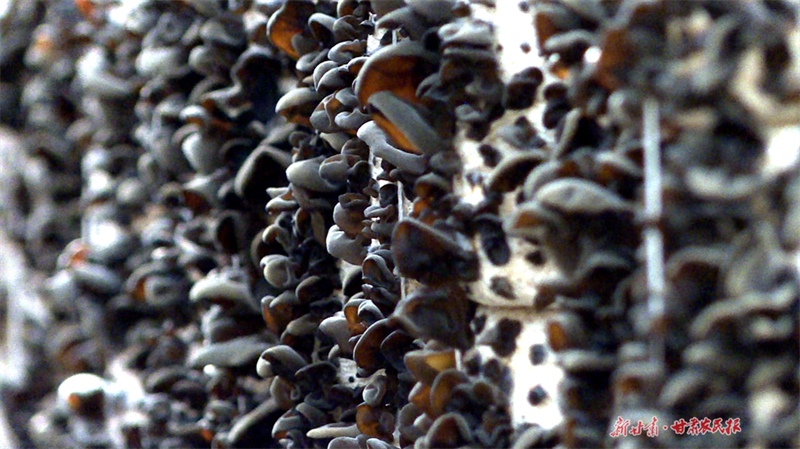 1685697481263566.png GetAttachment.png