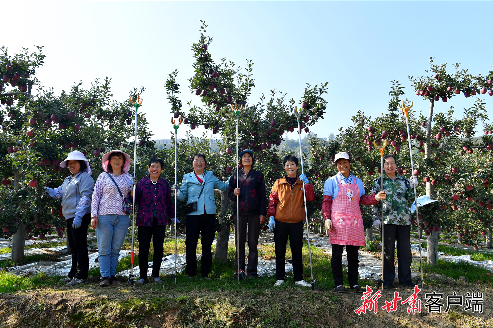 FZ007235862292_A4772901 FZ007235862292_A4772901