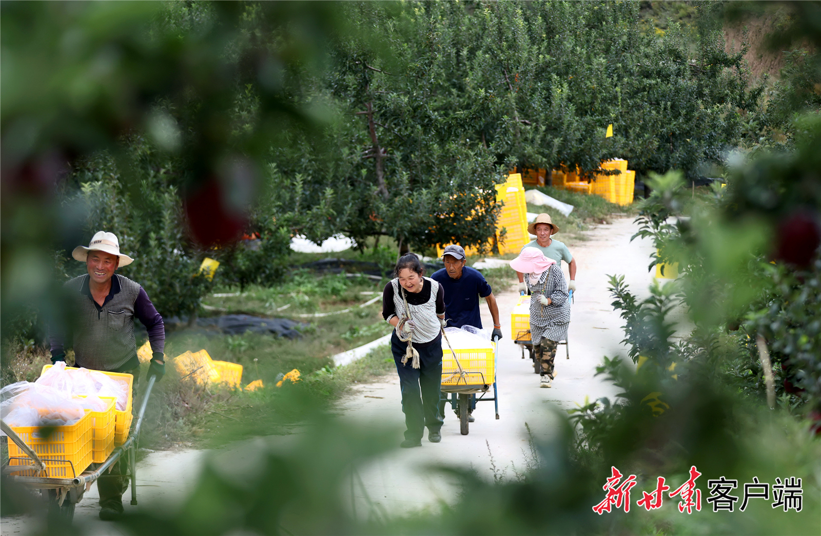 FZ007235862292_A4772904 FZ007235862292_A4772904