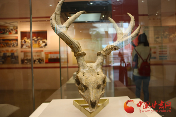 1522560305402863.jpg 00300133889_79ad445d.jpg