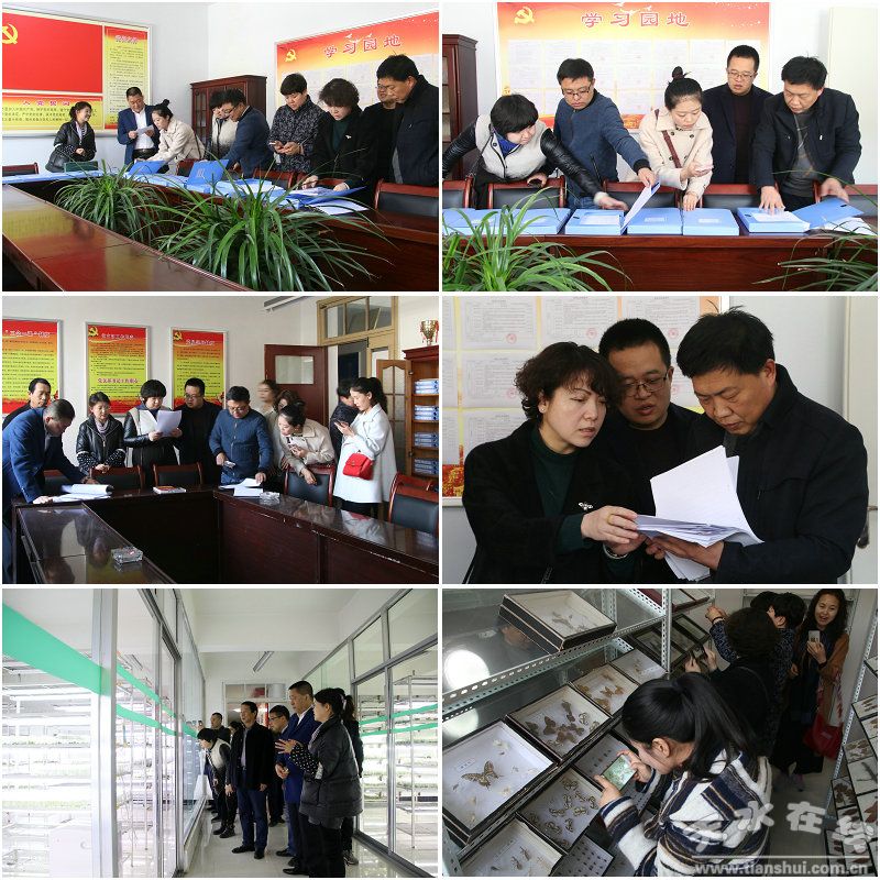 1520759872105337.jpg 3.jpg