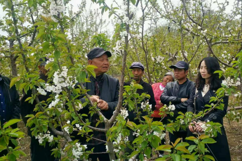 果品中心培训指导韩沟村果农开展果园预防霜冻技术26.png