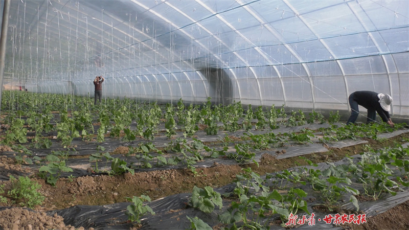 01110030.MP4.11_13_09_06.Still001