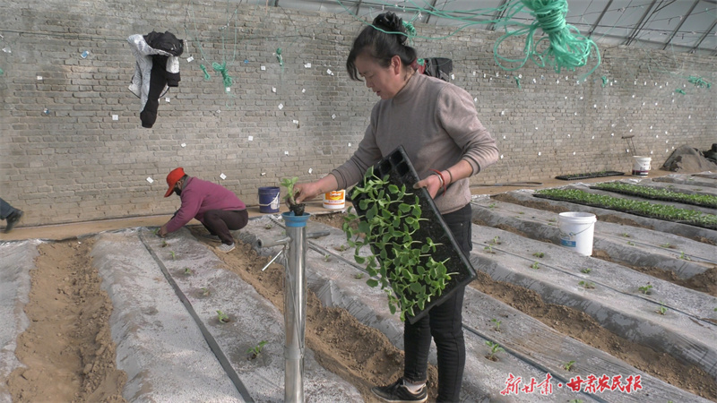 01110007.MP4.11_09_57_13.Still001