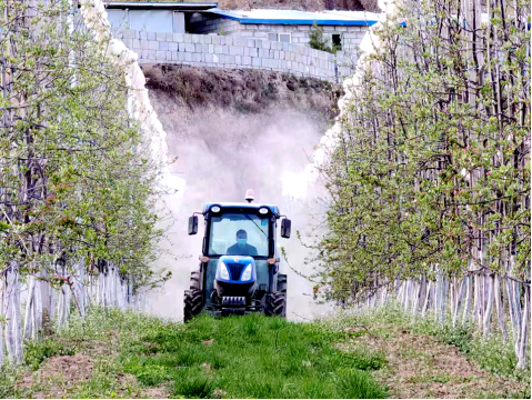 武山县定点开展营养液防霜冻工作 (1)290.png