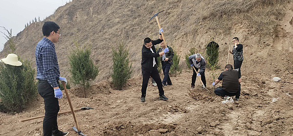 植树2.jpg 植树2.jpg