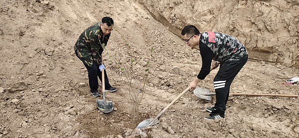 植树1.jpg 植树1.jpg