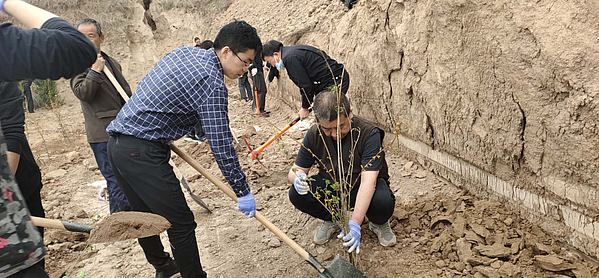 植树3.jpg 植树3.jpg