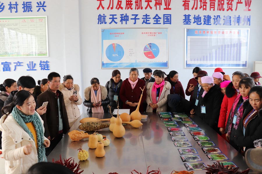 Canon 2019-02-26 Canon EOS 77D Canon EOS 77D F5.0 IMG_5784 18mm IMG_5784 ISO400 IMG_57841.jpg