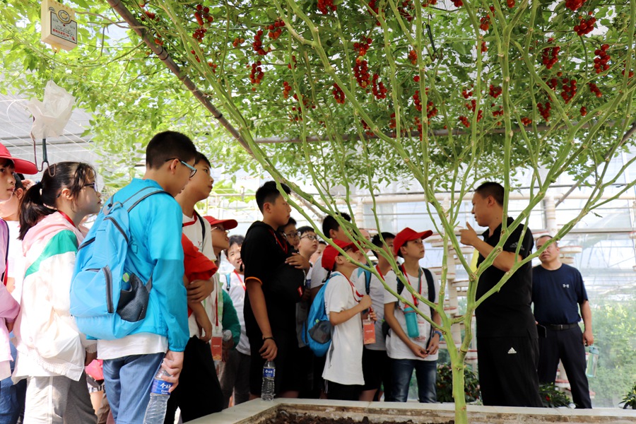 Canon 2019-07-30 Canon EOS 77D Canon EOS 77D F3.5 IMG_8723 18mm IMG_8723 ISO100 IMG_8723 Canon2.jpg