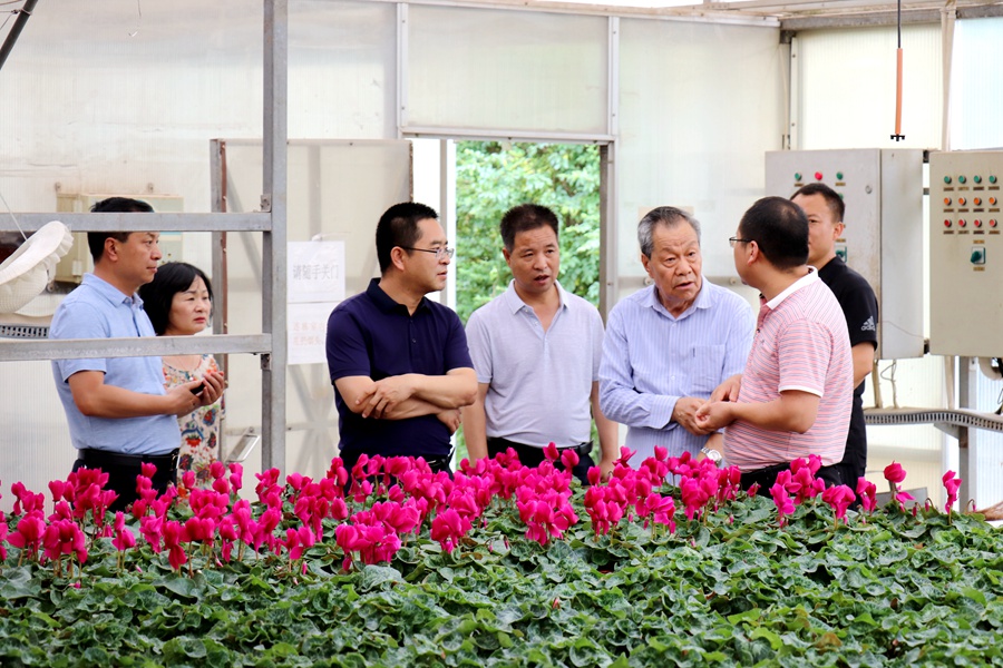 Canon 2019-07-18 Canon EOS 77D Canon EOS 77D F5.0 IMG_8560 72mm IMG_8560 ISO320 IMG_8560 Canon2.jpg