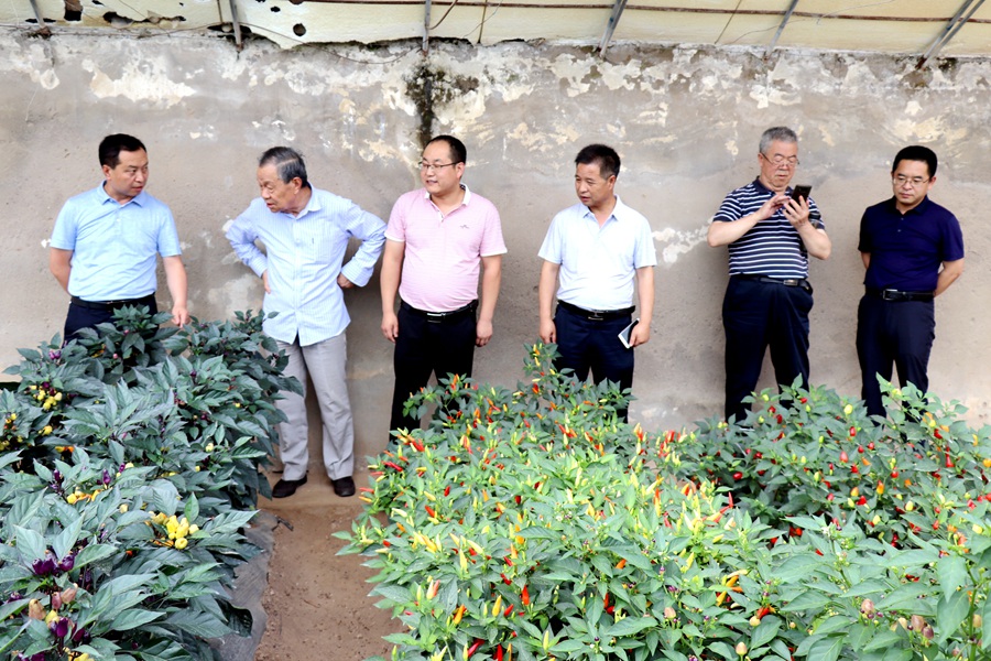 Canon 2019-07-18 Canon EOS 77D Canon EOS 77D F4.5 IMG_8563 18mm IMG_8563 ISO100 IMG_8563 Canon3.jpg