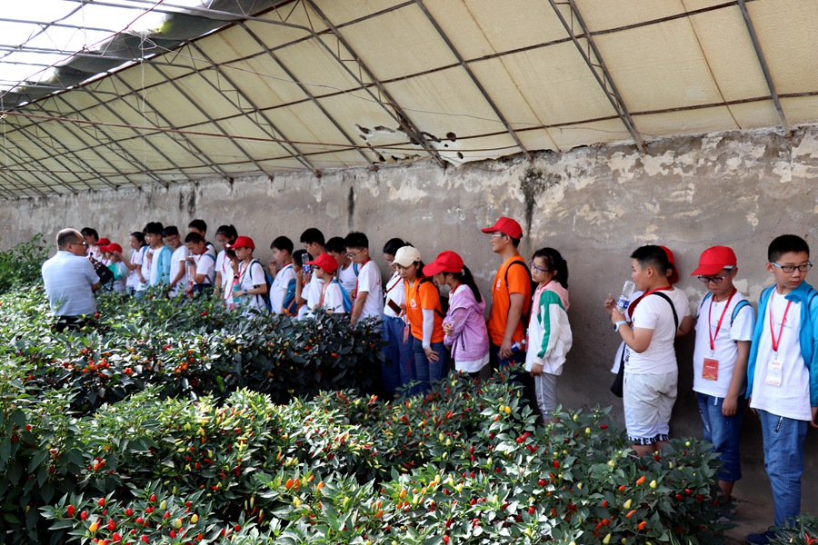 Canon 2019-07-30 Canon EOS 77D Canon EOS 77D F3.5 IMG_8758 19mm IMG_8758 ISO100 IMG_8758 Canon3.jpg