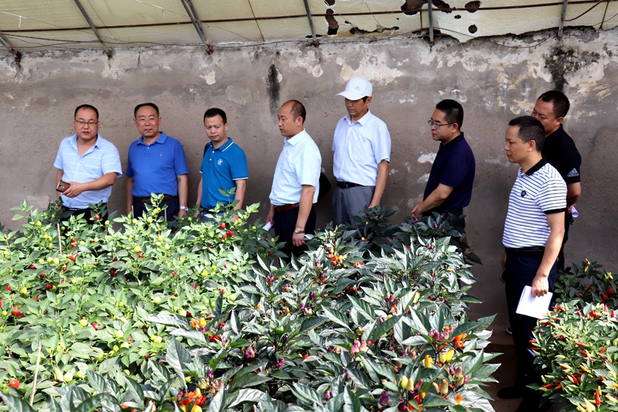 Canon 2019-07-31 Canon EOS 77D Canon EOS 77D F4.0 IMG_8846 24mm IMG_8846 ISO100 IMG_8846 Canon2.jpg