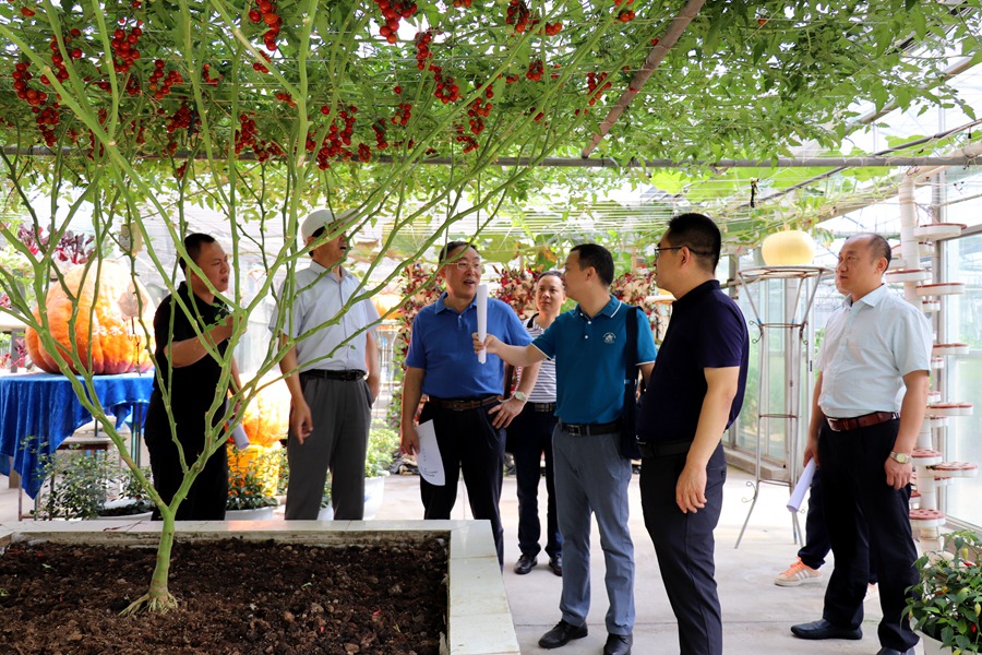 Canon 2019-07-31 Canon EOS 77D Canon EOS 77D F3.5 IMG_8807 18mm IMG_8807 ISO100 IMG_8807 Canon1.jpg