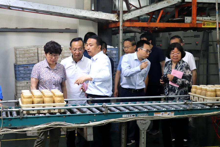 Canon 2019-07-26 Canon EOS 77D Canon EOS 77D F4.0 IMG_8689 29mm IMG_8689 ISO1600 IMG_8689 Canon3.jpg