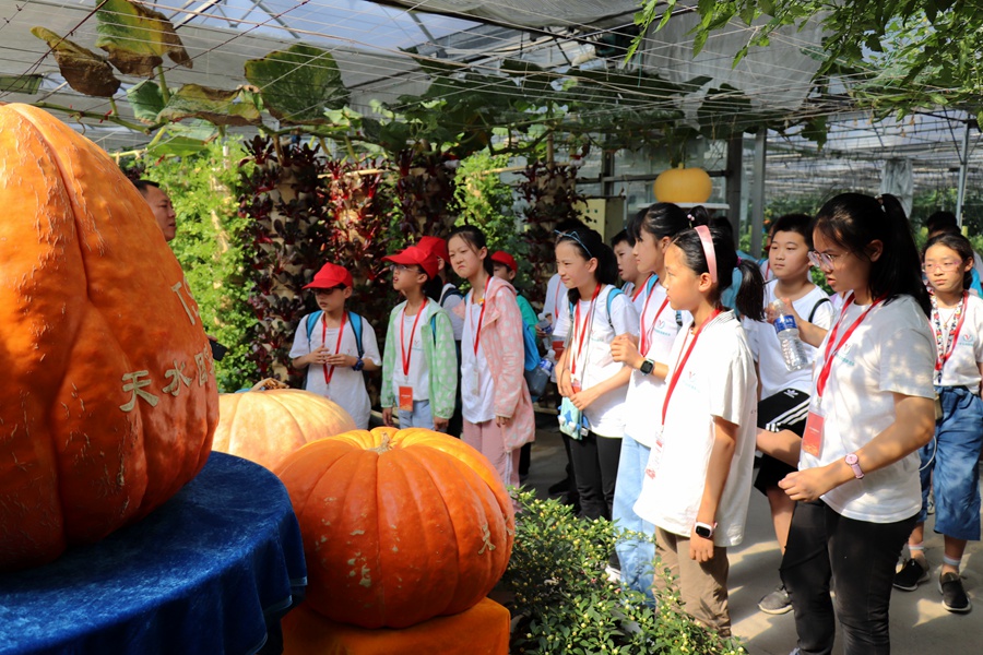 Canon 2019-07-30 Canon EOS 77D Canon EOS 77D F3.5 IMG_8717 18mm IMG_8717 ISO100 IMG_8717 Canon1.jpg