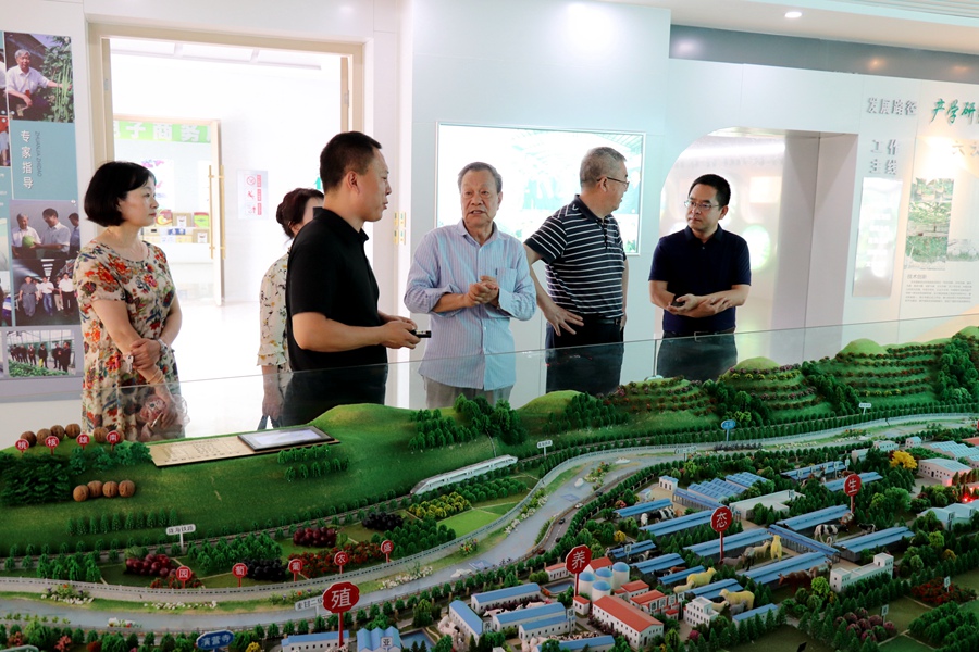 Canon 2019-07-18 Canon EOS 77D Canon EOS 77D F4.5 IMG_8553 20mm IMG_8553 ISO1000 IMG_8553 Canon1.jpg