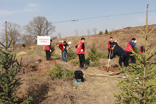 IMG_1453.JPG IMG_1453.JPG