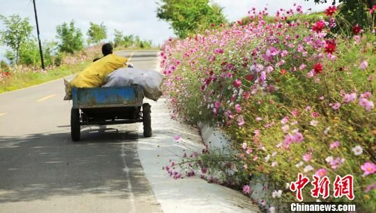 1507864722207886.jpg 7.jpg