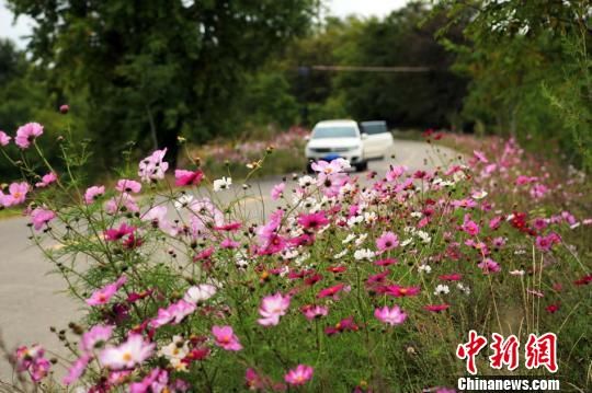 1507864601109365.jpg 3.jpg