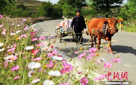 1507864768448864.jpg 8.jpg