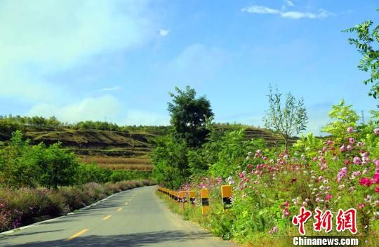 1507864649640140.jpg 6.jpg