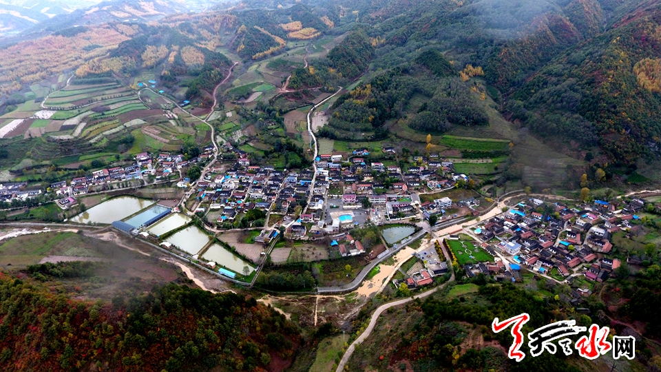 1509335241892479.jpg IMG002719937e934593251086.jpg