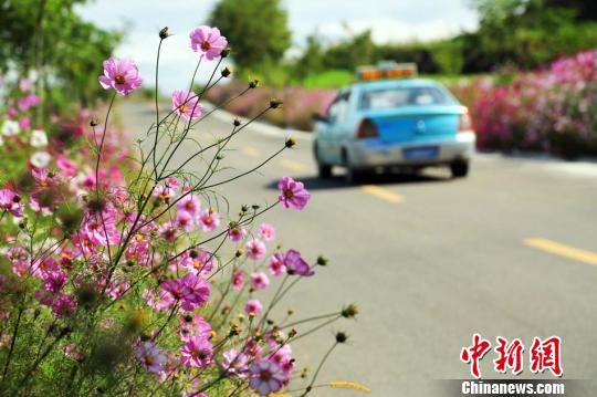 1507864631887745.jpg 5.jpg