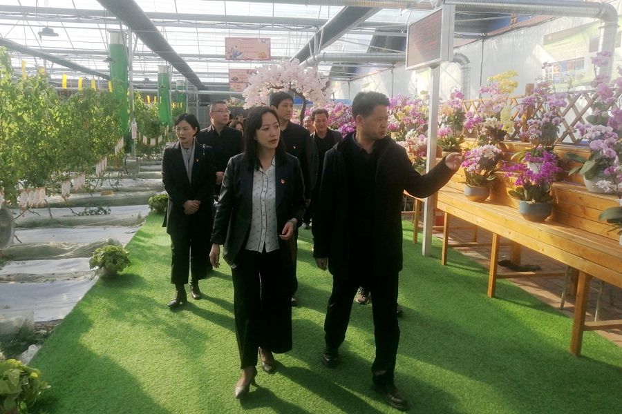 HUAWEI 16_23_392.jpg