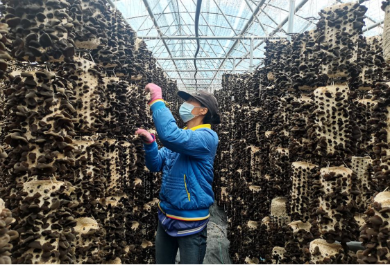 清水县 (1)928.png