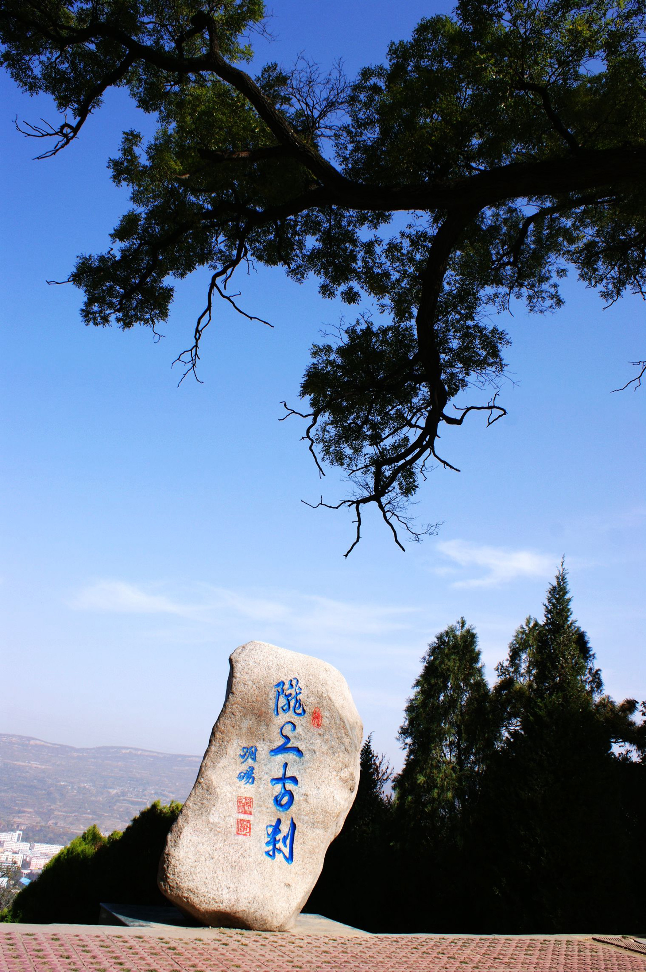 1503387929359745.jpg DSC07830摄影:张涛.jpg