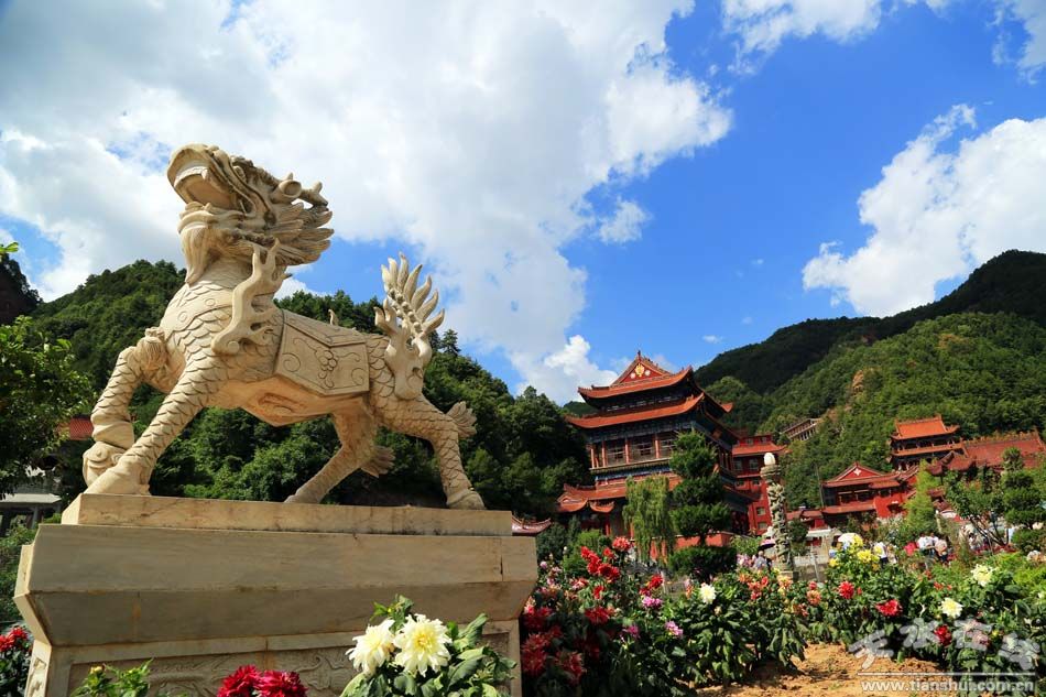 1502682566166360.jpg 8.jpg